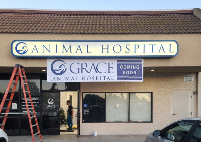 Grace Animal Hospital - webImage3